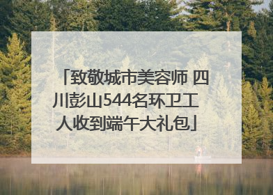 致敬城市美容师 四川彭山544名环卫工人收到端午大礼包