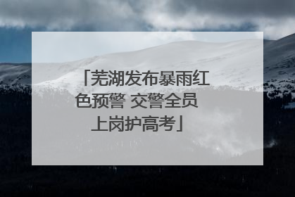 芜湖发布暴雨红色预警 交警全员上岗护高考