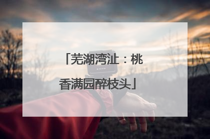 芜湖湾沚：桃香满园醉枝头