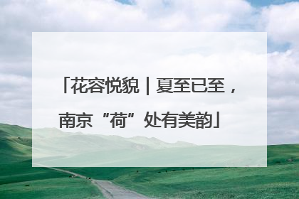 花容悦貌｜夏至已至，南京“荷”处有美韵