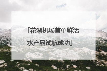 花湖机场首单鲜活水产品试航成功