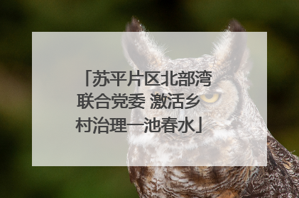 苏平片区北部湾联合党委 激活乡村治理一池春水