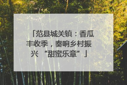 范县城关镇：香瓜丰收季，奏响乡村振兴 “甜蜜乐章”