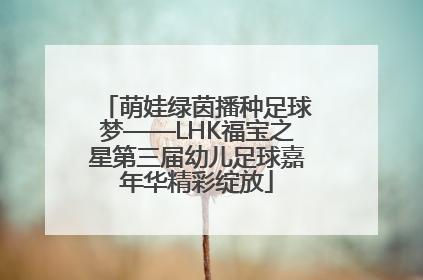 萌娃绿茵播种足球梦——LHK福宝之星第三届幼儿足球嘉年华精彩绽放