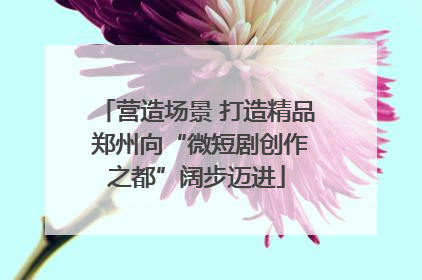 营造场景 打造精品 郑州向“微短剧创作之都”阔步迈进