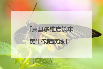 萧县多维度筑牢民生保障底线