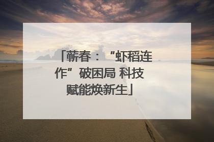 蕲春：“虾稻连作”破困局 科技赋能焕新生
