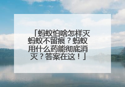 蚂蚁怕啥怎样灭蚂蚁不留痕？蚂蚁用什么药能彻底消灭？答案在这！