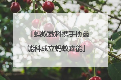 蚂蚁数科携手协鑫能科成立蚂蚁鑫能