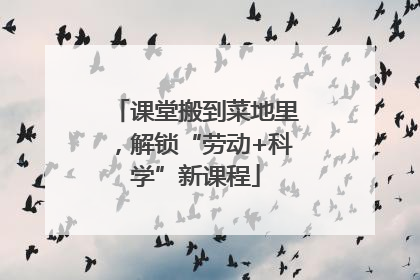 课堂搬到菜地里，解锁“劳动+科学”新课程