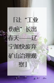 让“工业伤疤”长出春天——辽宁加快废弃矿山治理观察