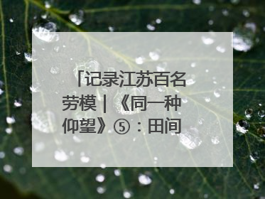 记录江苏百名劳模｜《同一种仰望》⑤：田间车间都是希望