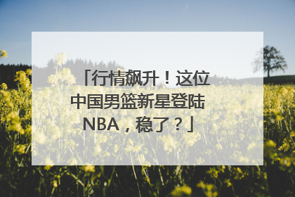 行情飙升！这位中国男篮新星登陆NBA，稳了？