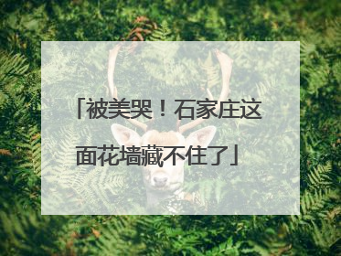 被美哭！石家庄这面花墙藏不住了