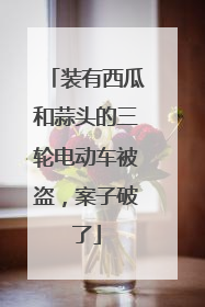 装有西瓜和蒜头的三轮电动车被盗，案子破了