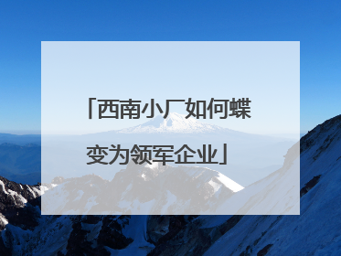 西南小厂如何蝶变为领军企业