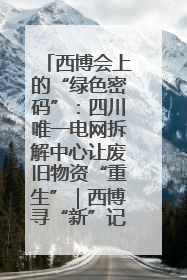 西博会上的“绿色密码”：四川唯一电网拆解中心让废旧物资“重生”｜西博寻“新”记