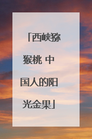 西峡猕猴桃 中国人的阳光金果