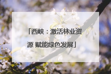 西峡：激活林业资源 赋能绿色发展
