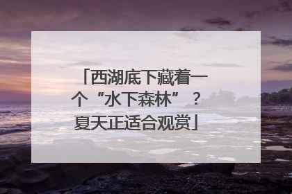 西湖底下藏着一个“水下森林”？夏天正适合观赏