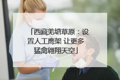 西藏羌塘草原：设置人工鹰架 让更多猛禽翱翔天空