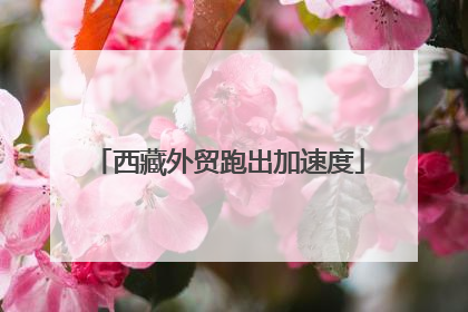 西藏外贸跑出加速度