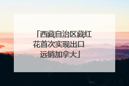 西藏自治区藏红花首次实现出口 远销加拿大