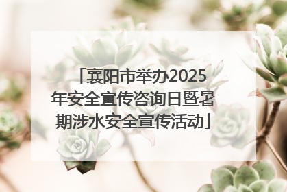 襄阳市举办2025年安全宣传咨询日暨暑期涉水安全宣传活动
