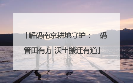解码南京耕地守护：一码管田有方 沃土搬迁有道