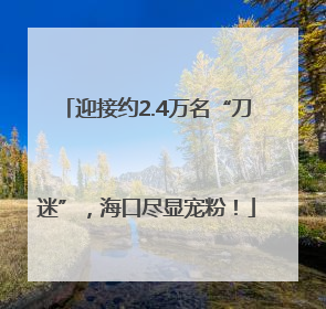 迎接约2.4万名“刀迷”，海口尽显宠粉！