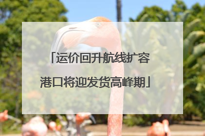运价回升航线扩容 港口将迎发货高峰期