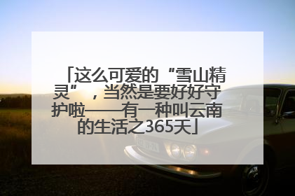 这么可爱的“雪山精灵”，当然是要好好守护啦——有一种叫云南的生活之365天