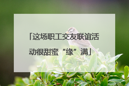 这场职工交友联谊活动很甜蜜“缘”满