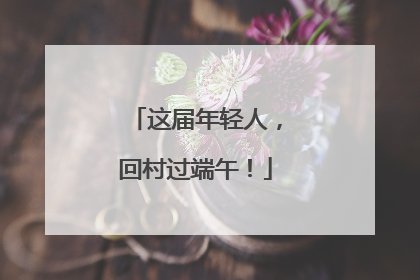 这届年轻人，回村过端午！