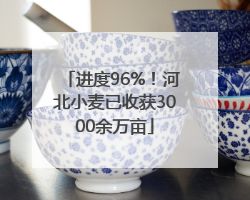 进度96%！河北小麦已收获3000余万亩