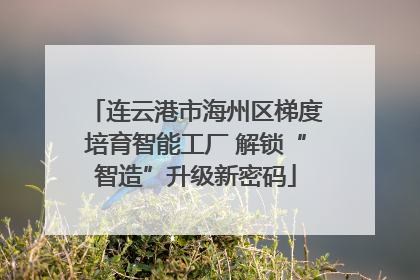 连云港市海州区梯度培育智能工厂 解锁“智造”升级新密码