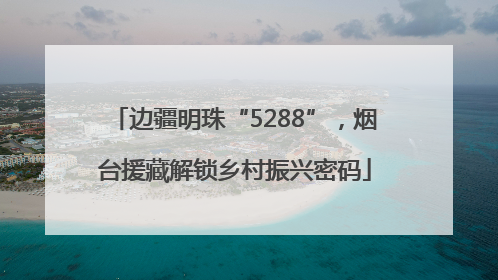 边疆明珠“5288”，烟台援藏解锁乡村振兴密码