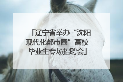辽宁省举办“沈阳现代化都市圈”高校毕业生专场招聘会