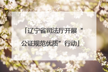 辽宁省司法厅开展“公证规范优质”行动