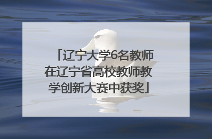 辽宁大学6名教师在辽宁省高校教师教学创新大赛中获奖