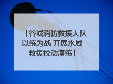 谷城消防救援大队以练为战 开展水域救援拉动演练