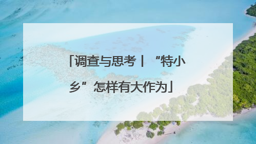 调查与思考丨“特小乡”怎样有大作为