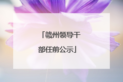 赣州领导干部任前公示