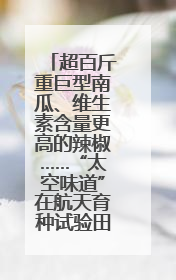 超百斤重巨型南瓜、维生素含量更高的辣椒……“太空味道”在航天育种试验田里拔节生长