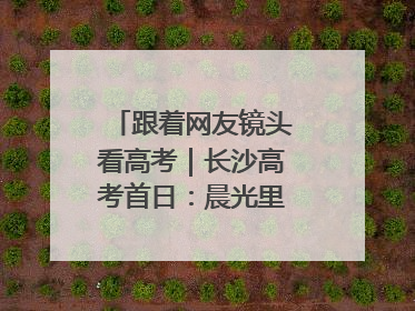 跟着网友镜头看高考｜长沙高考首日：晨光里的奔赴与守望