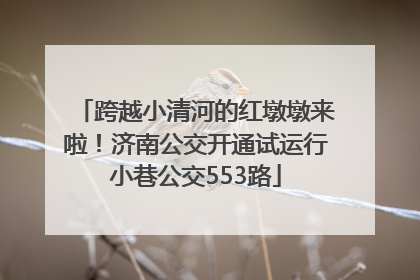 跨越小清河的红墩墩来啦！济南公交开通试运行小巷公交553路