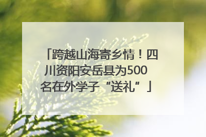 跨越山海寄乡情！四川资阳安岳县为500名在外学子“送礼”