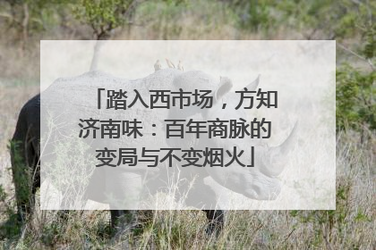 踏入西市场，方知济南味：百年商脉的变局与不变烟火