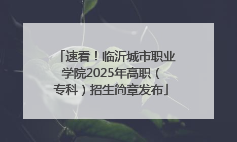 速看！临沂城市职业学院2025年高职（专科）招生简章发布