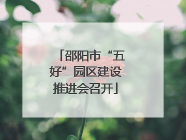 邵阳市“五好”园区建设推进会召开